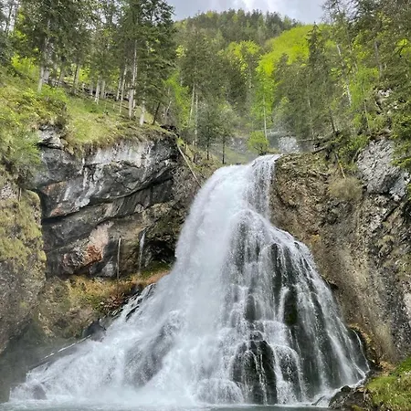 Appartement Tauglerei Vogelbeere