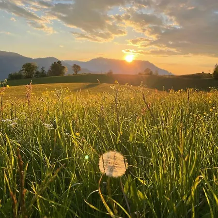 Appartement Tauglerei Vogelbeere Sankt Koloman